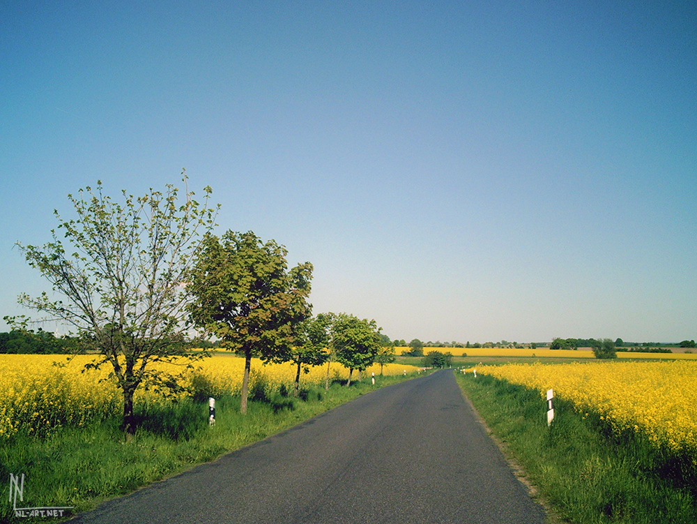 countryside 2008