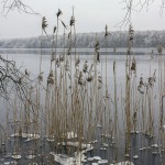 Jungfernsee lake