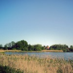 countryside pond